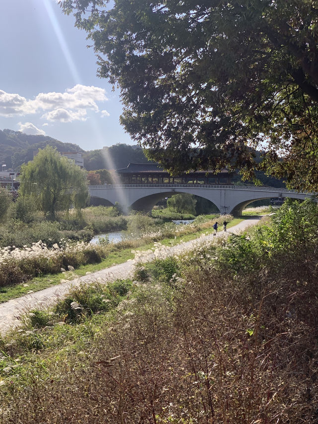 전주 따릉이 여행 코스 🚲 전주 따릉이 여행 코스 🚲