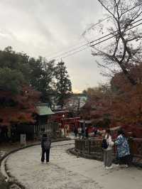 Inuyama Autumn Walk🍁