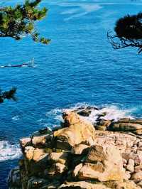 韓國🇰🇷大王岩公園