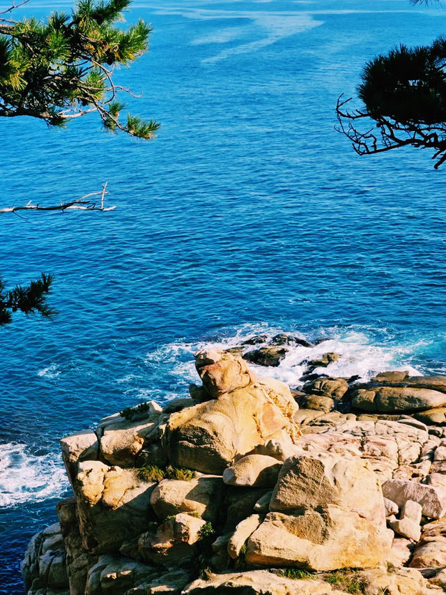 韓國🇰🇷大王岩公園 韓國🇰🇷大王岩公園