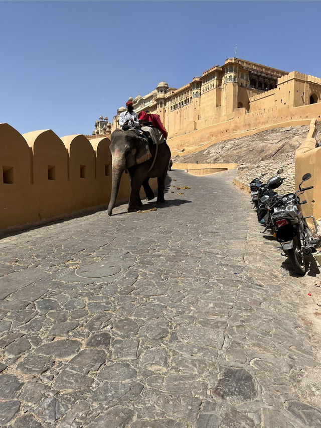 【タージマハル🏰どうしても行きたくて】インド🇮🇳女性一人旅の備忘録 【タージマハル🏰どうしても行きたくて】インド🇮🇳女性一人旅の備忘録
