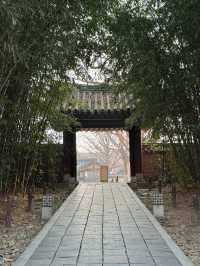 Courtyard Dreams🌞