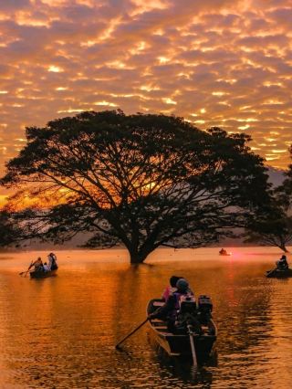 อำเภอพร้าว