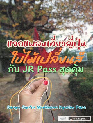 แจกแพลนเที่ยวใบไม้เปลี่ยนสีที่ญี่ปุ่น 🍁🍂