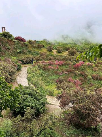 まるで現実の中国山水画——美しさと文化が息づく風景。 | Trip.com 婺源