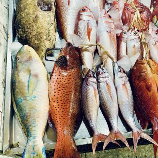 🐟 Yanbu Fish Market – A Seafood Lover’s Paradise 🇸🇦

Located on the beautiful Red Sea coast, Yanbu Fish Market is one of Saudi Arabia’s best places to experience the freshest seafood. Every morning, local fishermen bring in their daily catch, filling the market with an incredible variety of fish, shrimp, crabs, squid, and other seafood.

What makes Yanbu Fish Market special is its freshness. Many nearby restaurants will even clean and cook the seafood you purchase, allowing you to enjoy a meal prepared just the way you like it.

A visit here is more than just shopping—it’s a chance to experience local life, watch the lively atmosphere of the market, and discover the rich fishing culture of Yanbu. If you love seafood or want to explore authentic Saudi coastal traditions, this market is a must-visit destination.

📍Location: Yanbu, Red Sea Coast, Saudi Arabia
🕒 Best time to visit: Early morning, when the freshest catch arrives, or late afternoon for a lively market atmosphere.

Fresh seafood, the sea breeze, and the charm of the Red Sea—Yanbu Fish Market is an experience you’ll remember long after your visit.

#Yanbu #YanbuFishMarket #SaudiArabia #RedSea #Seafood #FreshFish #TravelSaudi #VisitSaudi #Foodie #SeafoodLover #ExploreSaudi #TravelPhotography #MiddleEastTravel