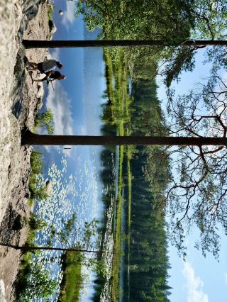 【赫爾辛基】去絕靚「努克西奧國家公園」歎北歐大自然同野餐 。