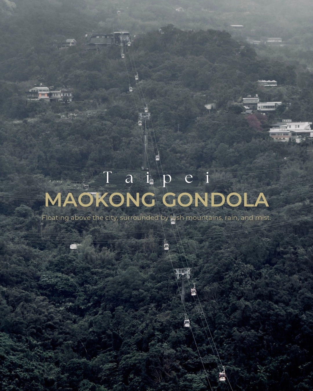 นั่งกระเช้าฝ่าสายหมอก จิบชาชมซากุระที่ Maokong Gondola ไต้หวัน