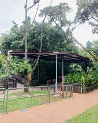 🌿✨ My Stroll at Bukit Batok Neighbourhood Park — A Peaceful West Side Escape! 🇸🇬