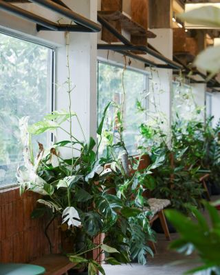 TUR GUB CHAN: A cozy, homey art community space 🎨