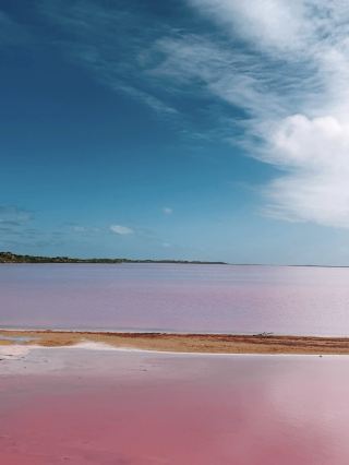 The Pink Lake is Glowing! Western Australia's Dreamy Waters + Blue Skies: A Fairytale Backdrop for Your Photos