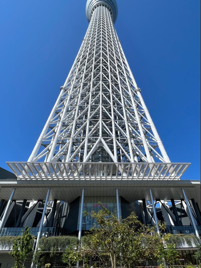 Why Tokyo Skytree Is Tokyo's Most Overrated View And Where To Go Instead