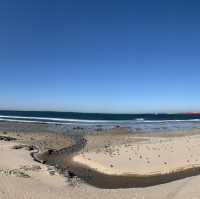 Beachside Bliss in Matosinhos