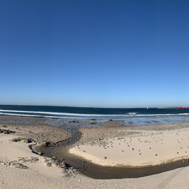 Beachside Bliss in Matosinhos