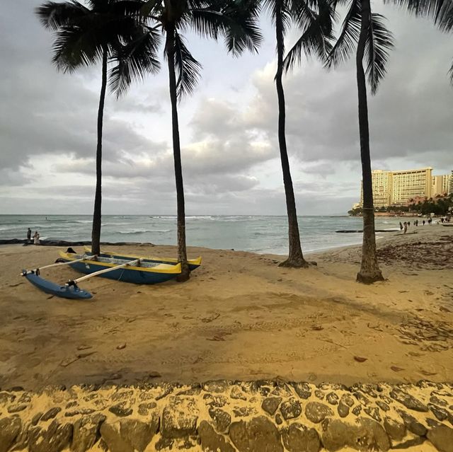 New friends in Honolulu! #tripmoments 