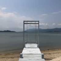 Monkeying Around in Paradise: Exploring Nha Trang's Wild Side!