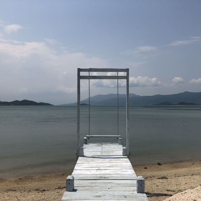 Monkeying Around in Paradise: Exploring Nha Trang's Wild Side!