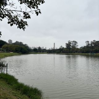 Lovely park in São Paulo 