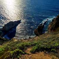 Big Sur Itinerary: Your Perfect 3-Day Escape 🌲🌊