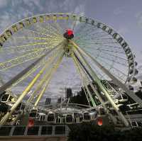 Must try: The Wheel of Brisbane 🇦🇺