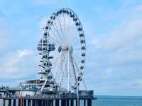 Beach Adventures, Sky Wheel Delights, and Sea