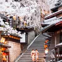 Sakura Spectacle: Tokyo's Blossom Ballet!🌸