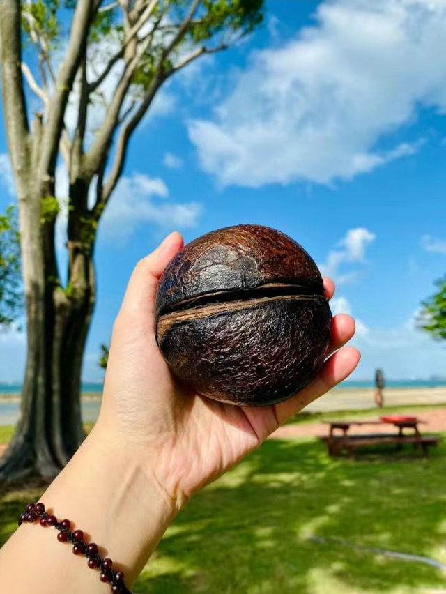 Kusu Island 🏝️ Singapore 🇸🇬 