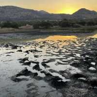 Unforgettable Wildlife Adventure at Pilanesberg National Park!