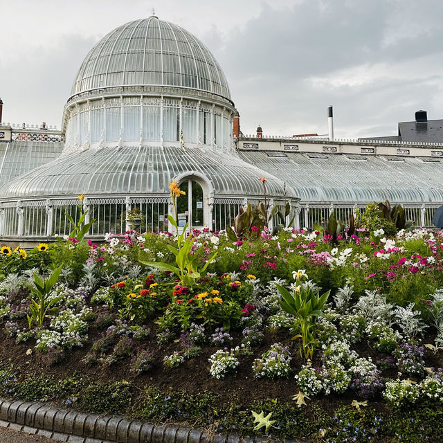 Summer blooms in Belfast paint the city in vibrant hues.