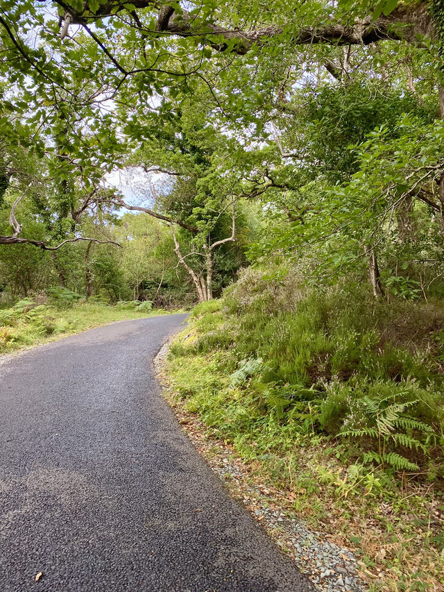 Walking the Lakes of Killarney in September 🌊