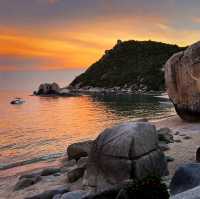 Calypso Diving Koh Tao