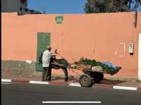 Morocco 
