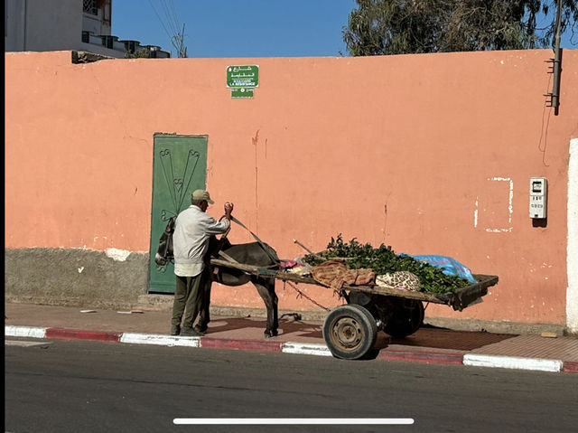 Morocco 