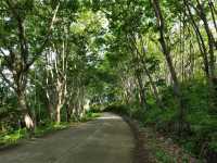 เกาะยาวใหญ่ ใครๆก็หลงรัก