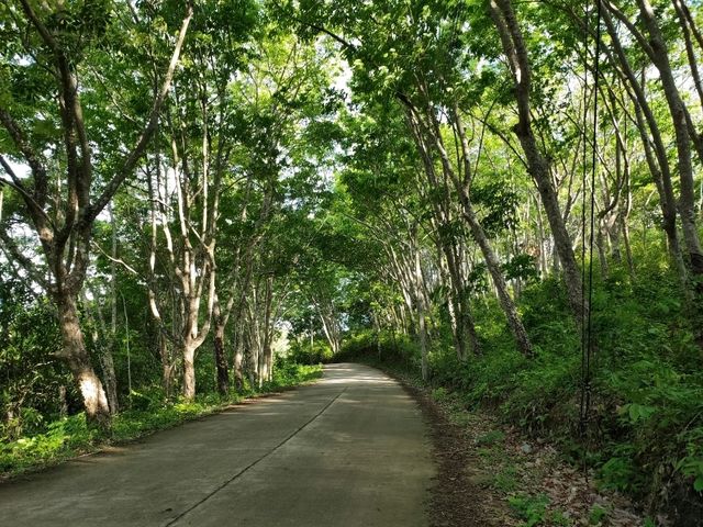 เกาะยาวใหญ่ ใครๆก็หลงรัก
