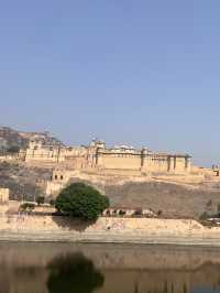 インド・ジャイプールに行くべき5つの理由🇮🇳✈️🌎