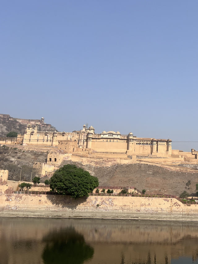 インド・ジャイプールに行くべき5つの理由🇮🇳✈️🌎