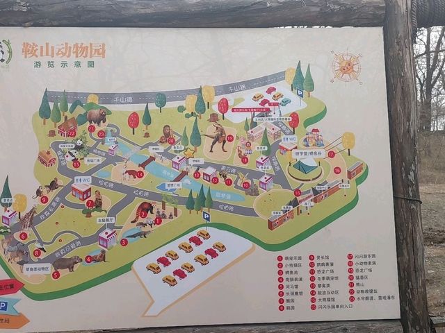 Must-visit places in Anshan Zoo