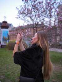 Best time to catch spring blossom in Vienna 