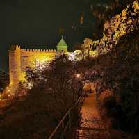 Narikala Fortress Awaits: Timeless Majesty