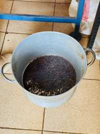 Nairobi Coffee Tour – Bean to Brew, Right at the Source ☕️