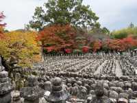 The scene of about 8,000 stone Buddhas and stone pagodas lined up in the precincts