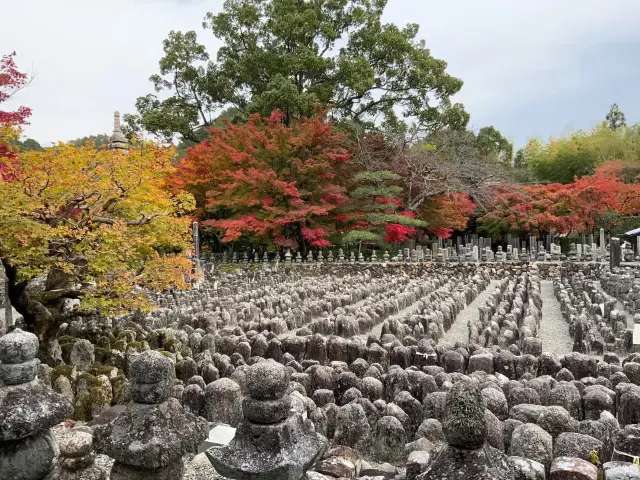 The scene of about 8,000 stone Buddhas and stone pagodas lined up in the precincts