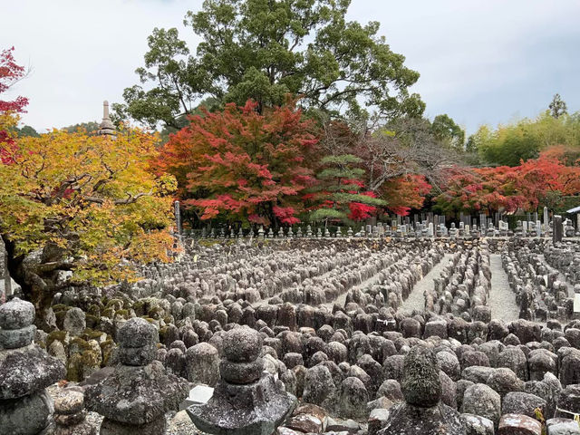 The scene of about 8,000 stone Buddhas and stone pagodas lined up in the precincts