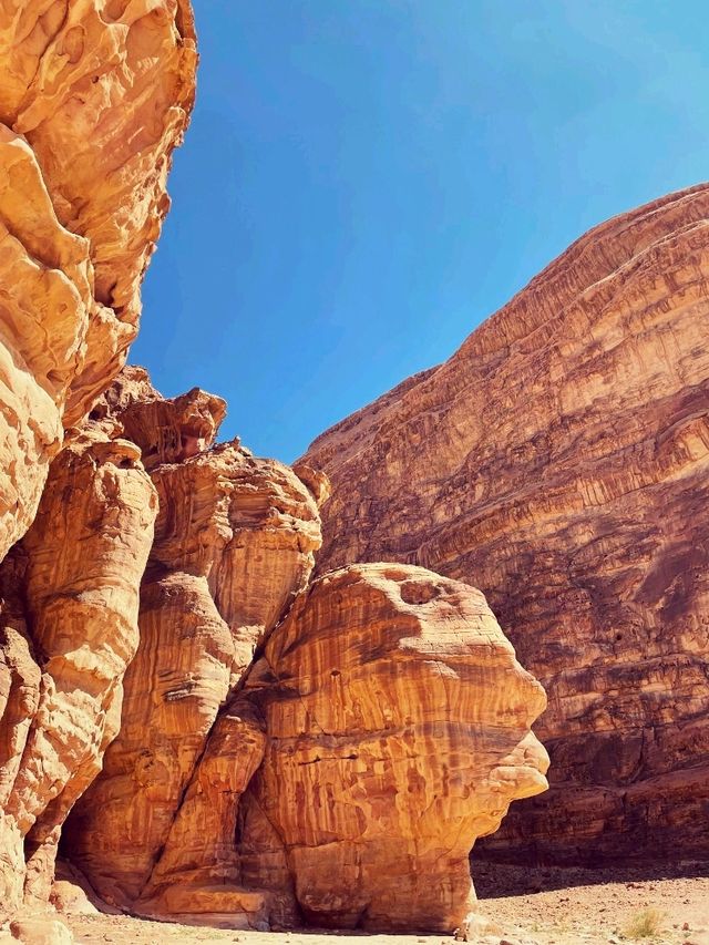 Bedouin Experience in Wadi Rum Desert 🇯🇴