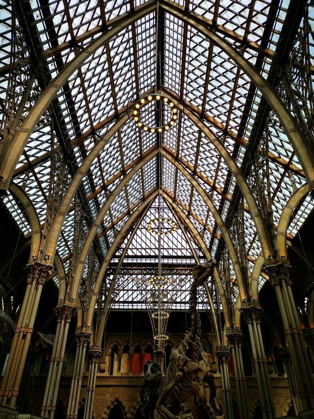 Fossils and Foundations: Discovering Oxford's Natural Wonders
