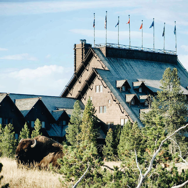 🟡 Yellowstone in a Day: Must-See Wonders of America’s First National Park