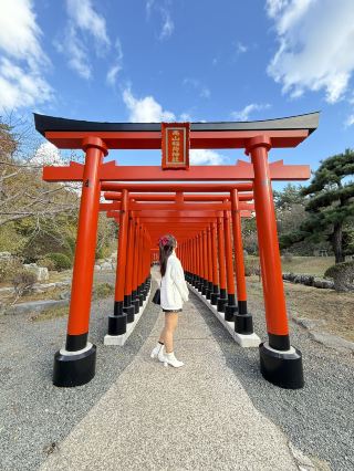 【Aomori】Beautiful Torii Gates