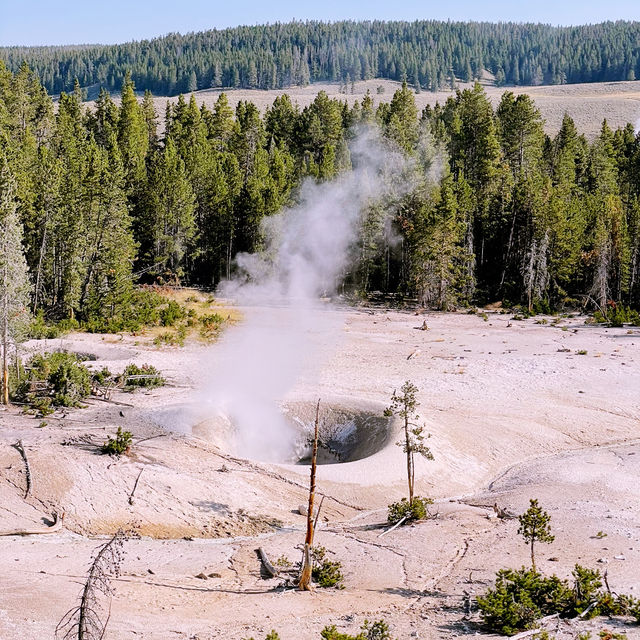🏨 Where to Stay for Yellowstone? Let’s Talk Cody, Wyoming 🤠