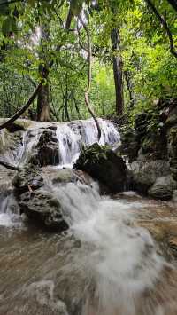 Jungle Trekking in Khao Sok – Guided or Solo? Here’s What You Need to Know 🥾🌴